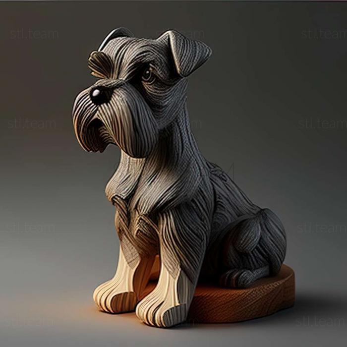 Animals Zwergschnauzer dog